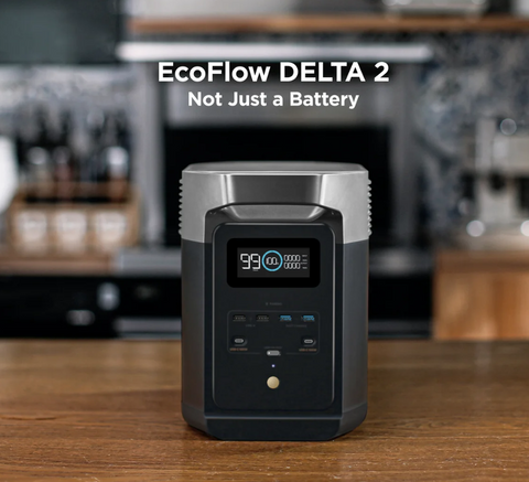 EcoFlow DELTA 2